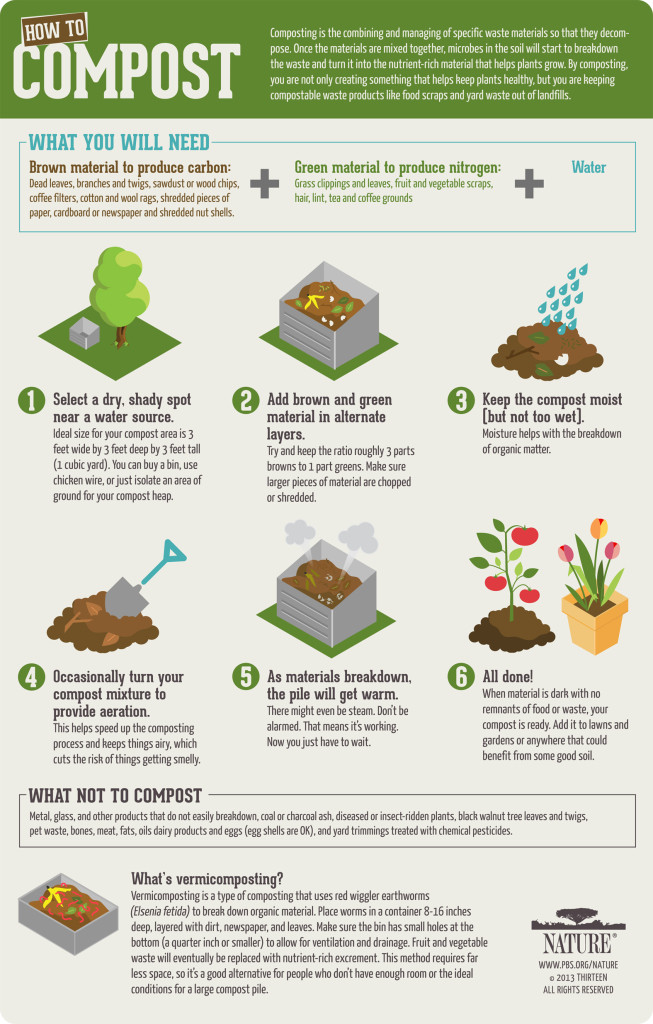How-to-Compost-Poster