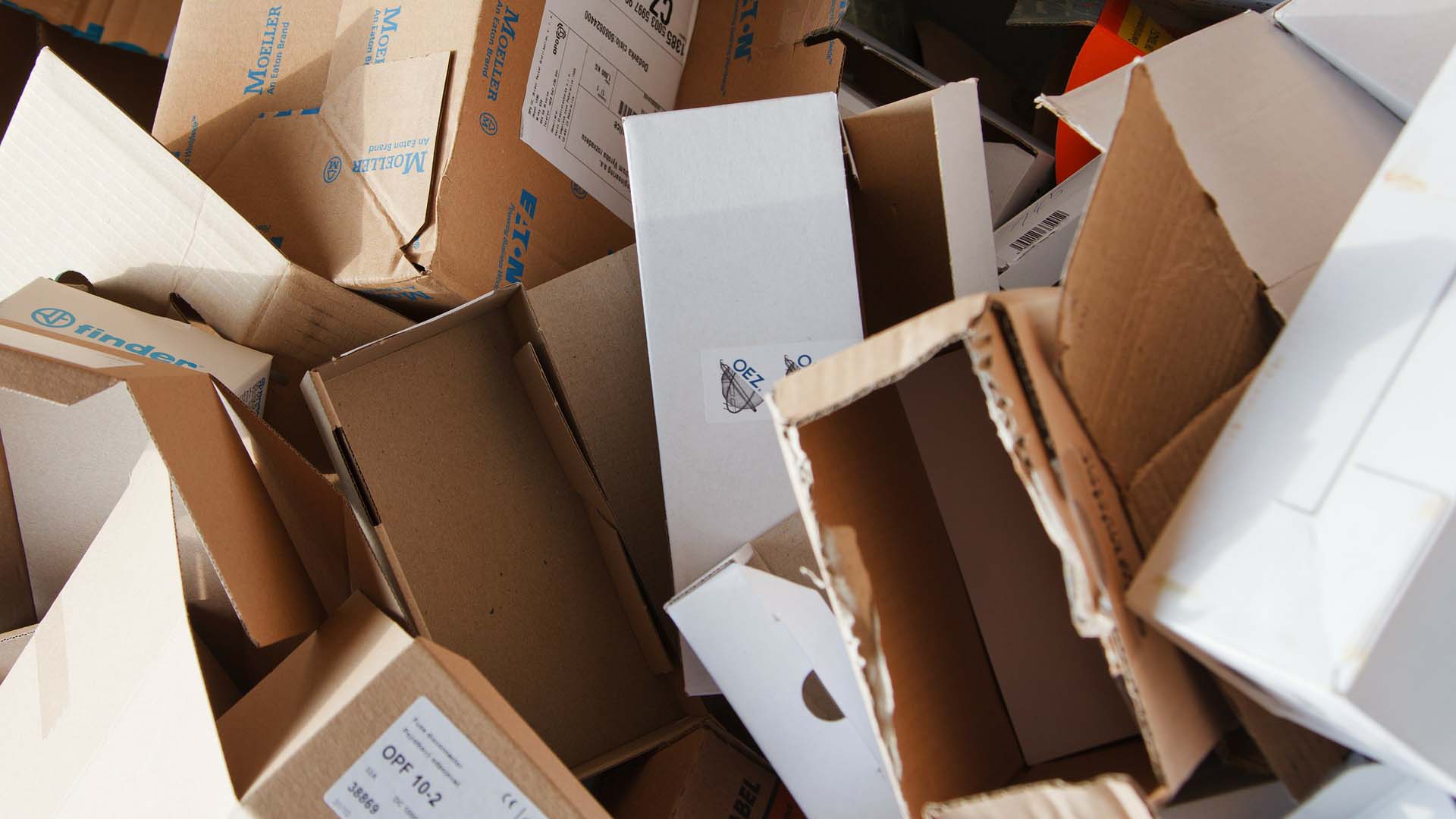 Cardboard