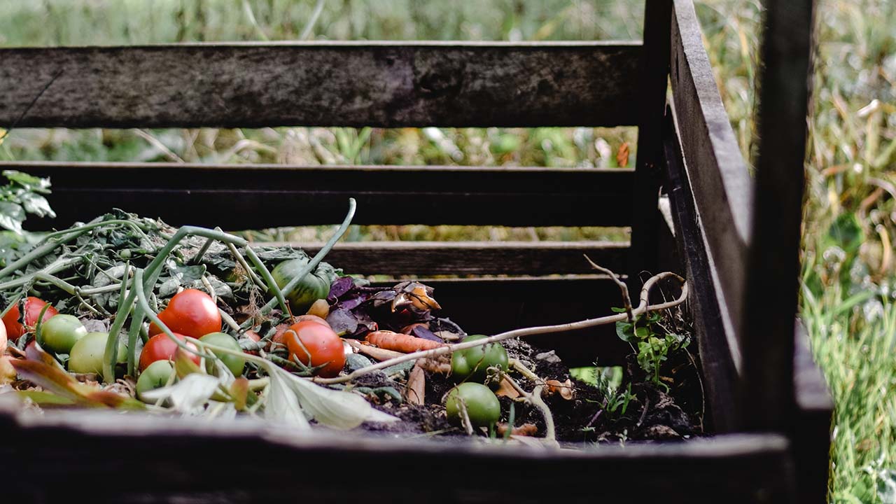 Compostables